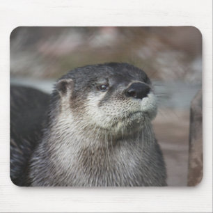 Noord-Amerikaanse Otter Mousepad Muismat