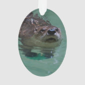 Noord-Amerikaanse Otter Ornament (achterkant)