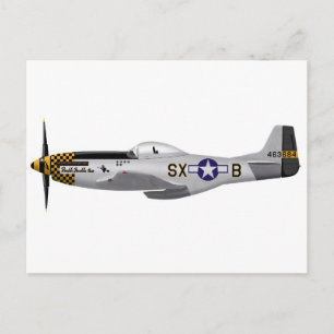 Noord-Amerikaanse P-51D Mustang "Double Trouble Tw Briefkaart