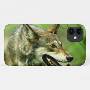 Noord-Amerikaanse Sly Red Wolf iPhone 11 Hoesje