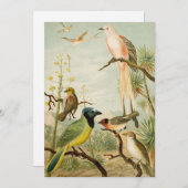 Noord-Amerikaanse vogels | Anton Goering (Voorkant / Achterkant)