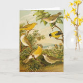 Noord-Amerikaanse vogels | Anton Goering Kaart (Gele Bloem)