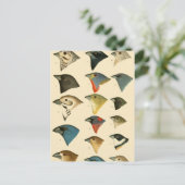 Noord-Amerikaanse vogels Briefkaart (Staand voorkant)