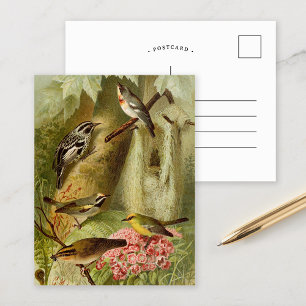 Noord-Amerikaanse vogels Briefkaart Gustav Mü t