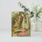 Noord-Amerikaanse vogels | Briefkaart Gustav Mü t (Staand voorkant)