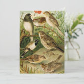 Noord-Amerikaanse vogels | Gustav Mü tzel (Staand voorkant)