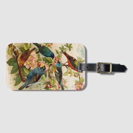 Noord-Amerikaanse vogels | Gustav Mü tzel Bagagelabel (Voorkant (horizontaal))