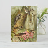 Noord-Amerikaanse vogels | Gustav Mü tzel Kaart (Staand voorkant)