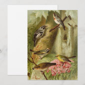 Noord-Amerikaanse vogels | Gustav Mü tzel Kaart (Voorkant / Achterkant)