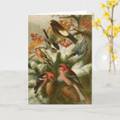 Noord-Amerikaanse vogels | Gustav Mü tzel Kaart (Gele Bloem)