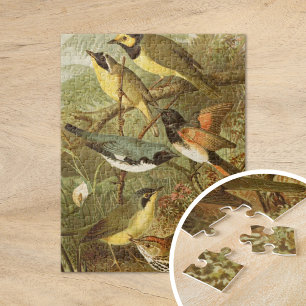 Noord-Amerikaanse vogels Gustav Mü tzel Legpuzzel