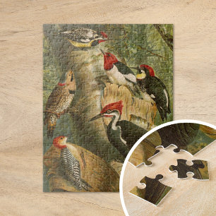 Noord-Amerikaanse vogels   Gustav Mützel Legpuzzel
