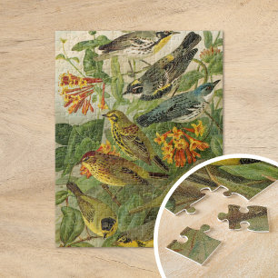 Noord-Amerikaanse vogels   Gustav Mü tzel Legpuzzel