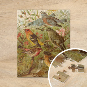 Noord-Amerikaanse Vogels   Gustav Mützel Legpuzzel