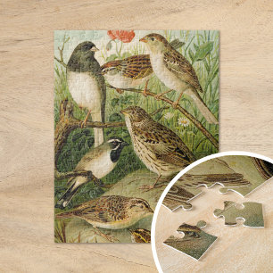 Noord-Amerikaanse vogels   Gustav Mü tzel Legpuzzel