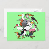 Noord-Amerikaanse Waders Briefkaart (Voorkant / Achterkant)