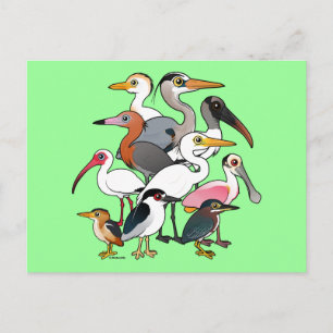 Noord-Amerikaanse Waders Briefkaart