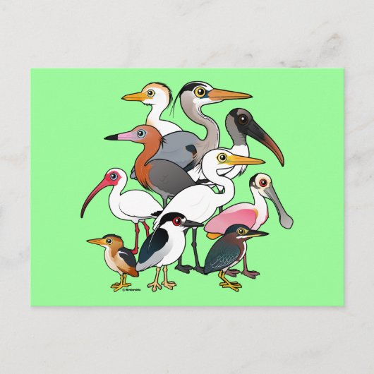 Noord-Amerikaanse Waders Briefkaart (Voorkant)