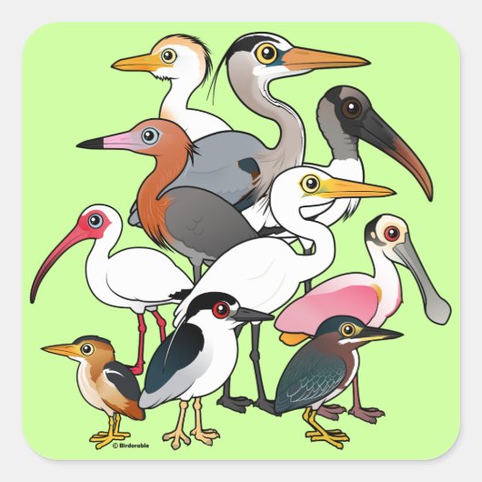 Noord-Amerikaanse Waders Vierkante Sticker (Voorkant)