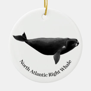 Noord-Atlantische witte walvis Eubalaena Glacialis Keramisch Ornament