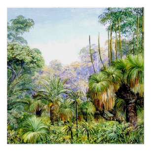 Noord - Boslandschap in West-Australië, vintage Perfect Poster