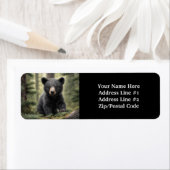 Noord-Bossen Little Black Beer Cub Etiket (Insitu)