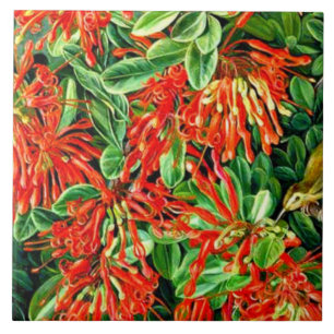 Noord - Brandende Struik en Emu Wren van Chili Tegeltje