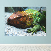 Noord-Caiman Lizard Dracaena Guianensis Canvas Afdruk (Insitu (Houten vloer))