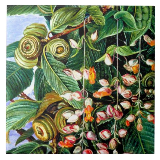 Noord - Een Darjeeling-eik, fijne kunst, Tegeltje (Voorkant)