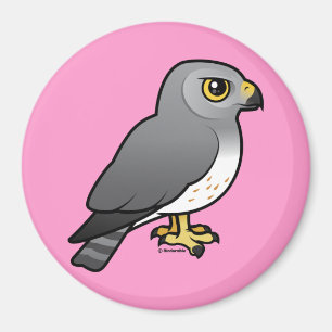 Noord-Harrier Magneet