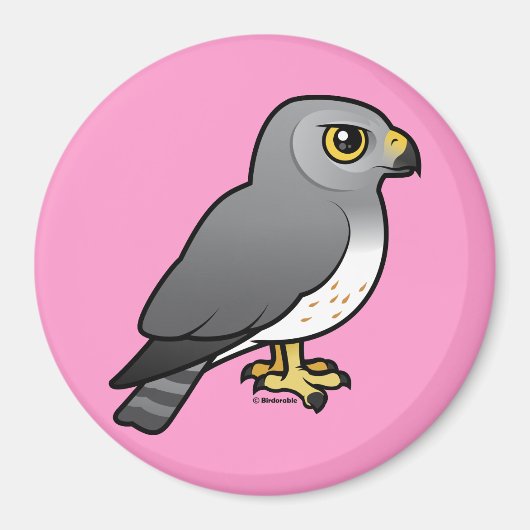 Noord-Harrier Magneet (Voorkant)