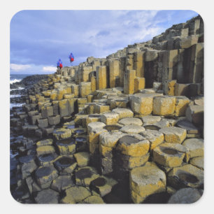 Noord-Ierland, County Antrim, Giant's Vierkante Sticker