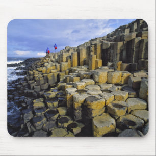 Noord-Ierland, County Antrim, Reuzen- Muismat