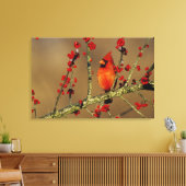 Noord-Kardinaal mannetje, IL Canvas Afdruk (Insitu (Woonkamer))