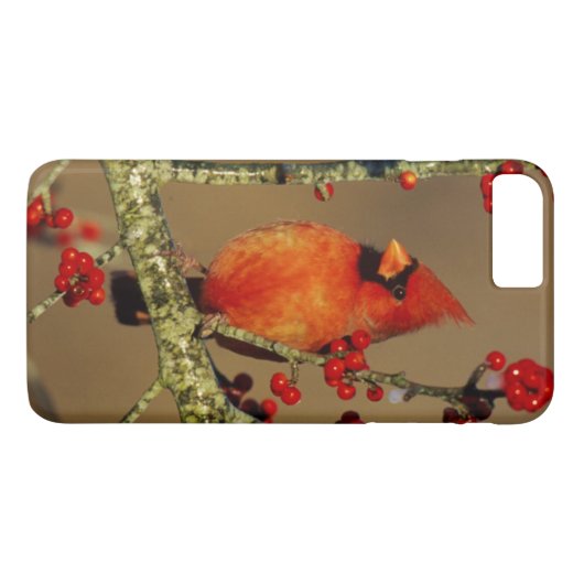 Noord-Kardinaal mannetje, IL Case-Mate iPhone Case (Achterkant (Horizontaal))