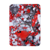 Noord-Kardinaal mannetje, Winter, IL Magneet (Verticaal)