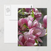 Noord-Korea Magnolia Briefkaart (Voorkant / Achterkant)