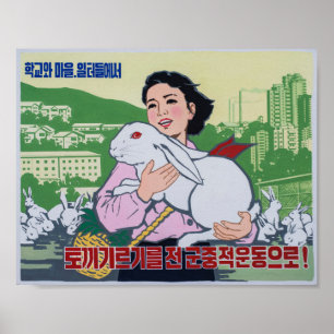 Noord-Koreaans Poster van propaganda - Red Eye Bun