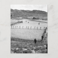 Noord-Koreaanse gevangenen_OorlogsAfbeelding