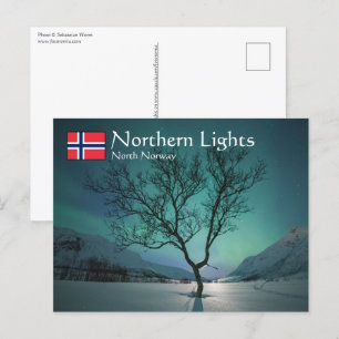 Noord-Lights Tree Briefkaart