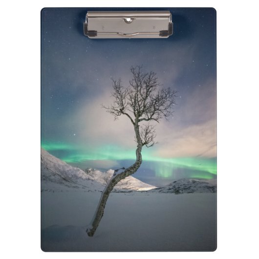 Noord-Lights Tree Klembord (Voorkant)