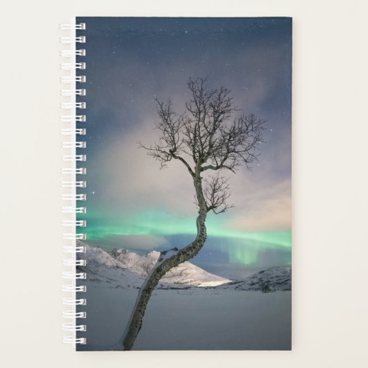 Noord-Lights Tree Planner (Voorkant)