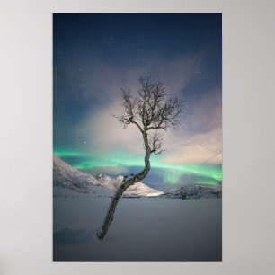 Noord-Lights Tree Poster