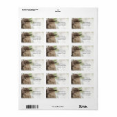 Noord-Mockingbird Portrait Bird Adres foto Etiket (Full Sheet)