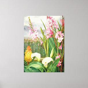 Noord - Schoonheden van de moerassen, botanische k Canvas Afdruk