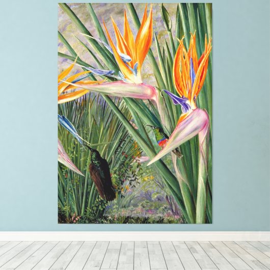 Noord - Strelitzia en Suikervogels, Zuid-Afrika, Canvas Afdruk (Insitu (Houten vloer))
