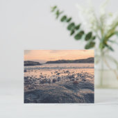 Noord-Zee Shell Briefkaart (Staand voorkant)