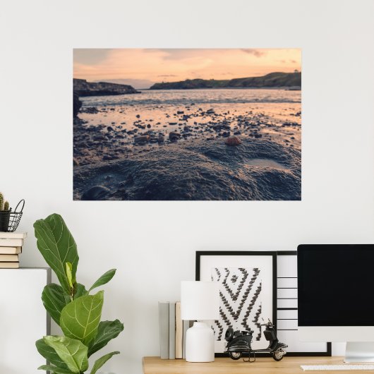 Noord-Zee Shell Poster (Thuiskantoor)