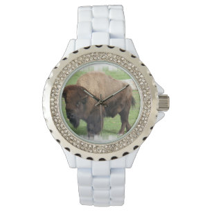 Noordamerikaanse buffel horloge