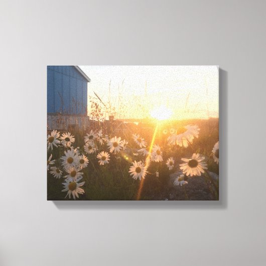 noordelijk zonnescanvas canvas afdruk (Voorkant)